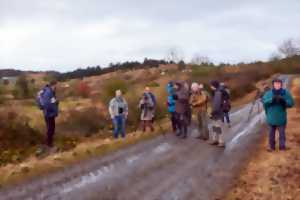 photo Journée des observateurs aux alentours de Cruéjouls