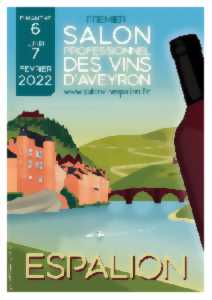 Salon des Vins de l'Aveyron