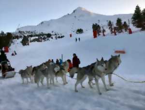 photo Baptême découverte en traîneau à chiens