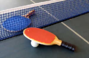 photo Matches de Championnat départemental de tennis de Table à Sévérac-le-Château
