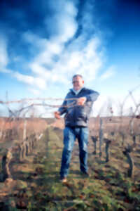 photo L'atelier taille de la vigne