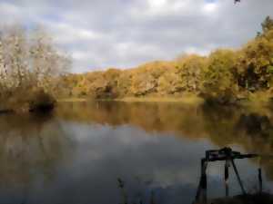 photo Les étangs de Narbonne au fil des saisons