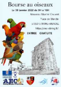 photo BOURSE AUX OISEAUX