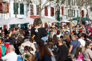 photo Carnaval de Bayonne