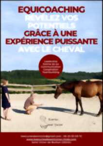 Séances d'équicoaching