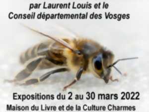 photo ABEILLES ET INSECTES POLLINISATEURS