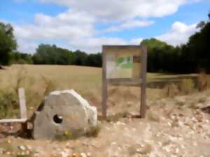 Visite commentée du sentier des meulières