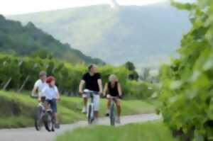 Fête du vélo du Piémont des Vosges