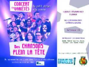 photo CONCERT : DES CHANSONS PLEIN LA TÊTE