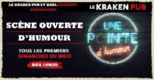 photo Stand-up Humour au Kraken Pun