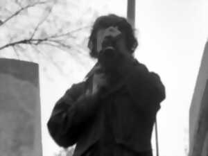 photo Conférence : A la recherche du plus grand animal de tous les temps