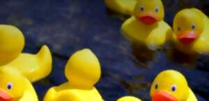 photo Duck Race, course de canards