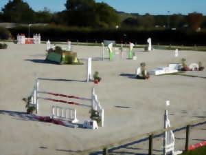 photo Concours de saut d'obstacles et Equifun, club et poney