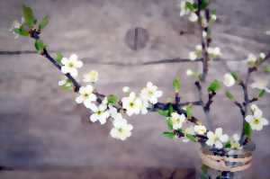 photo Cours d'art floral des enfants