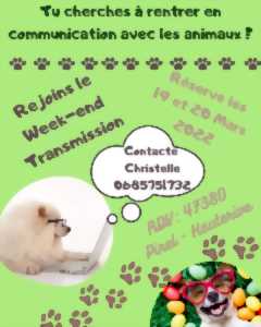 photo Pratiquer la communication animale