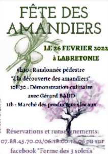 photo Fête des amandiers