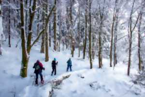 photo Rando Raquettes à neige dans le Massif du Schneeberg