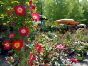 Marché aux fleurs