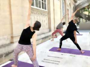 photo ATELIER Yoga - adultes : Musée de Picardie