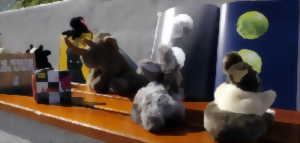 photo Le rendez-vous des petits marmots - MESA