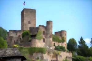 Dragons animés au château de Belcastel