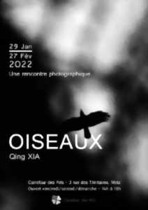 photo EXPOSITION - QING XIA