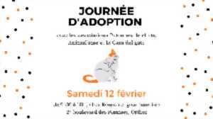 Journée d'adoption