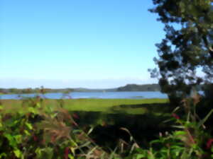 photo Randonnée naturaliste au marais d'Orx