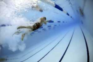 photo Stage de natation - Février 2022