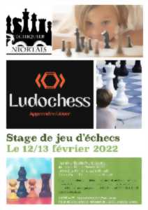 photo Stage de jeu d'échecs débutant avec Ludochess