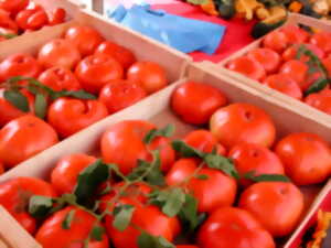 Marché traditionnel