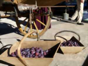 Marché traditionnel