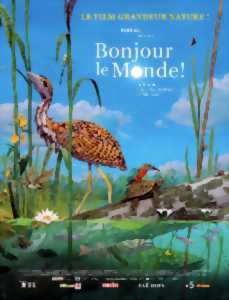 photo Projection & atelier - Bonjour le monde !