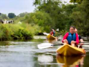 photo Balade en kayak, la fin de journée en beauté