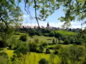 photo Balade et Dégustation dans les vignes