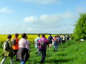 photo Marche des Brandons