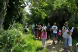 Rallye nature de la Maison de la Baie