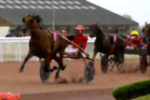 photo Les réunions de courses hippiques de l'hippodrome international de la capelle saison 2025