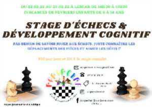 photo Stage d'échec et développement cognitif