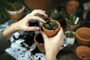 photo Troc de graines, de plantes... et d'idées !