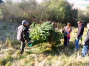 photo Chantier Nature : la Montagne en chantier !