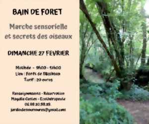 photo Jardin des Murmures forêt de BLASIMON