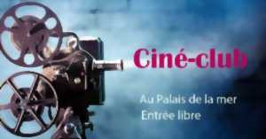 photo CINECLUB ADULTE - LE FABULEUX DESTIN D'AMELIE POULAIN