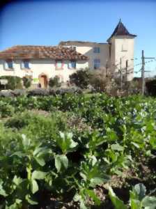 photo ATELIER TAILLE DE FORMATION DES ARBRES FRUITIERS DU JARDIN BIO DU DOMAINE DE RESTINCLIÈRES