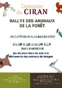 photo Rallye des Animaux de la Forêt