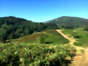 Randonnée : Le sentier des mulets, frontière et contrebande (Sortie en basque)