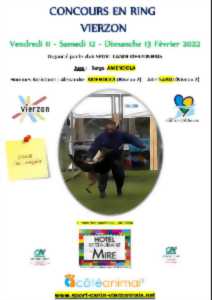 photo Concours en ring