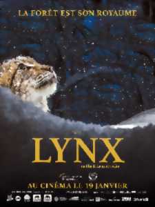photo Lynx