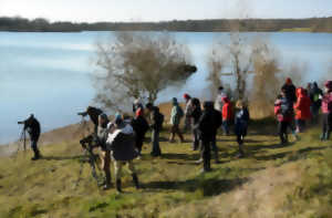 photo Journée Mondiale des Zones Humides - le Lac de la Nette