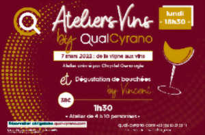 photo Atelier vin thématique à Quai Cyrano : de la vigne aux vins :  Vins de France, IGP, AOP ? - ANNULE